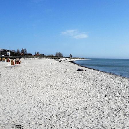 Fewo Muschelgetuschel Im Prinz Hamlet - Direkte Strandlage 佩尔泽哈肯 外观 照片
