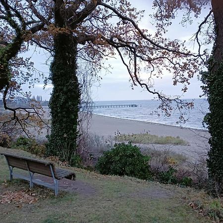 Fewo Muschelgetuschel Im Prinz Hamlet - Direkte Strandlage 佩尔泽哈肯 外观 照片