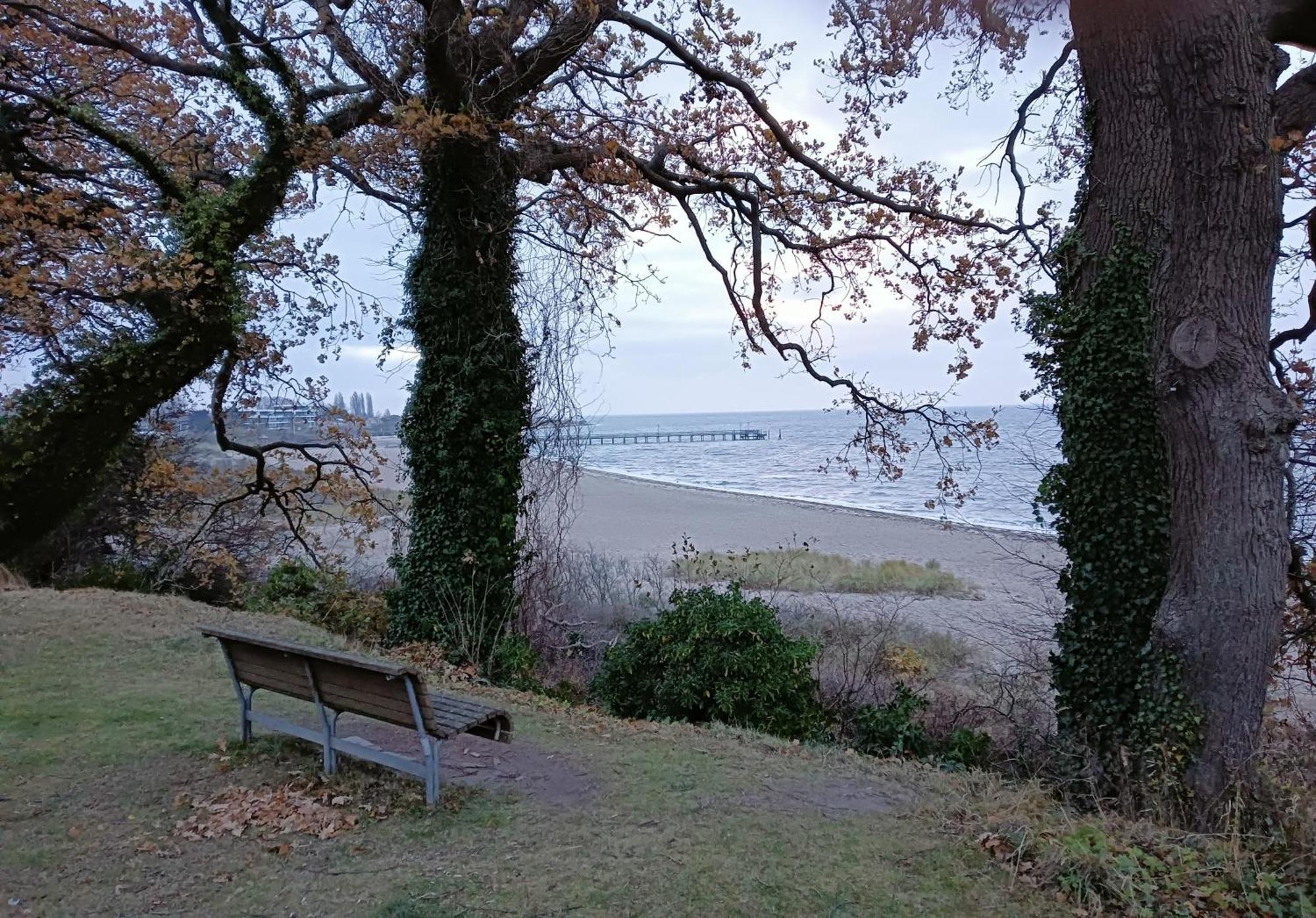 Fewo Muschelgetuschel Im Prinz Hamlet - Direkte Strandlage 佩尔泽哈肯 外观 照片